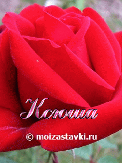 картинки с именем ксюша красивые онлайн картинки с именем ксюша красивые