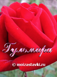Гульмира с днем рождения фото