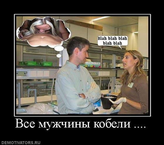Днем, муж кобель картинки прикольные