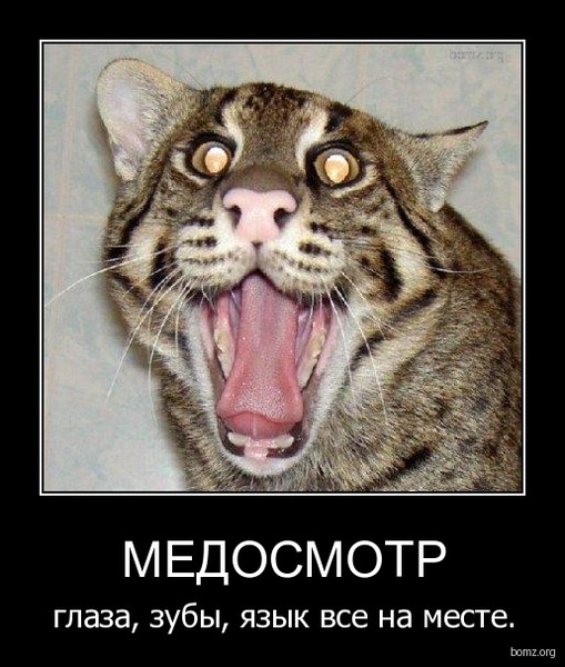 Смешная картинка медосмотр