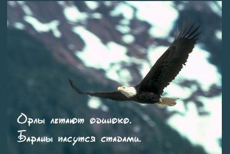 Картинки по запросу счастье в одиночестве