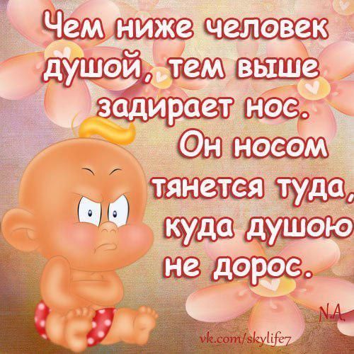 Открытка задрать нос, романтика отношения