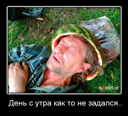 Самые смешные дураки