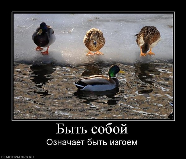 Будь самим собой проект Ответы Mail.ru: почему все начинают стыдить людей, которые на них непохожи