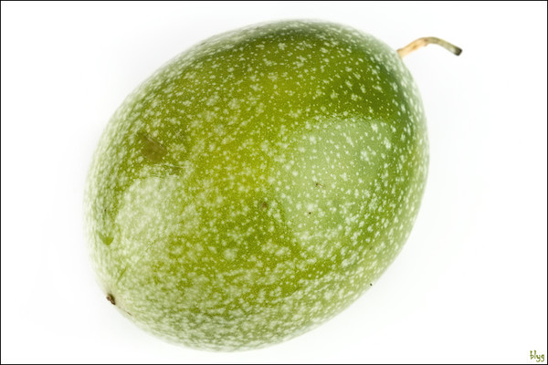 зелёная ягода фейхоа. зеленый фрукт 6 букв. зеленый фрукт 6 букв. фейхоа цитрус. зеленый фрукт 6 букв.