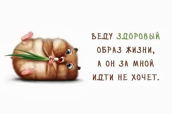 веду здоровый образ жизни на английском веду здоровый образ жизни на английском