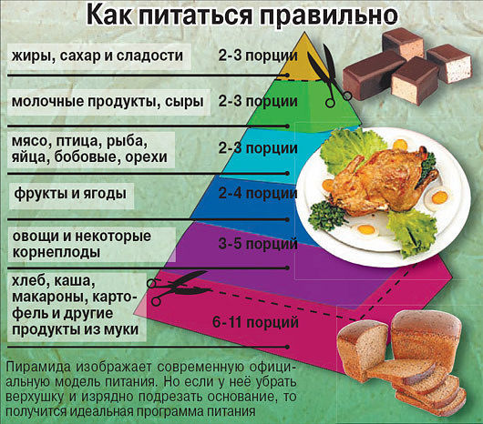 что есть во время диеты что есть во время диеты