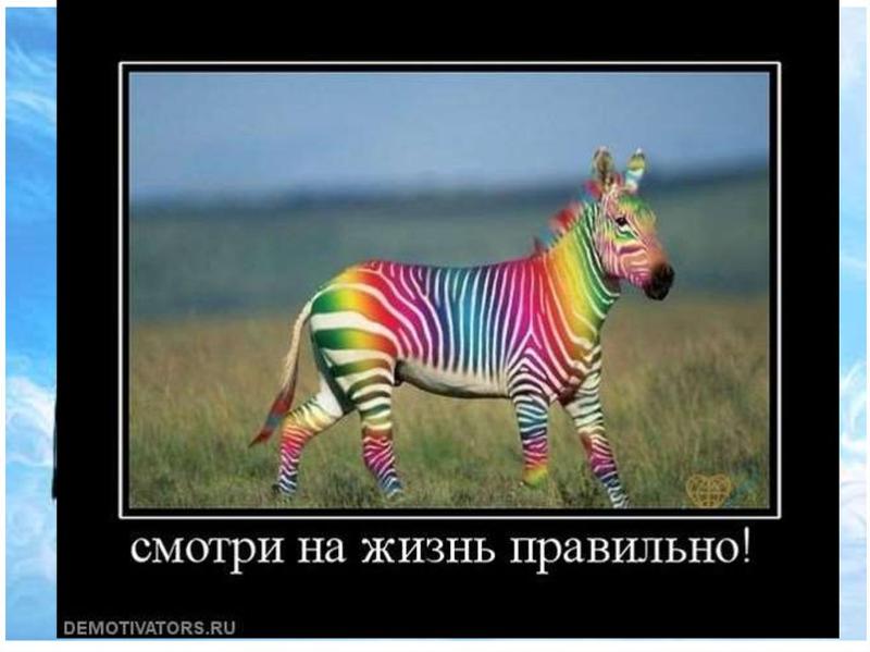 покажи картинки зебры как ее любить а не говори здесь можно буквальном