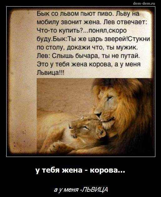 Открытки со львами и стихами