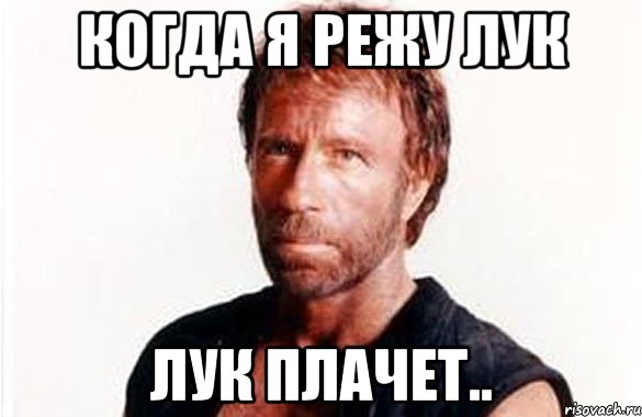 5032127_4aa20cd9d693a668a99e7a62d5945fa9_800.jpg