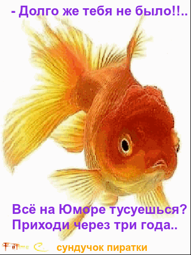 Золотая рыбка картинки анимашки