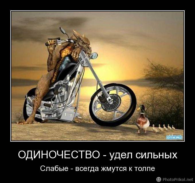 Любимый город, картинки с надписями одиночество удел сильных