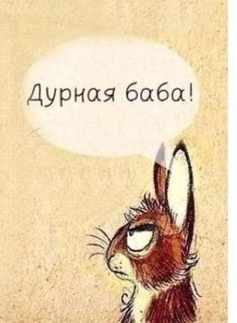 Я похожа на зайку. Она же дурная. Дурная дама приколы. Она же дурная. Она же дурная.