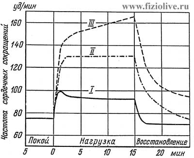 https://otvet.imgsmail.ru/download/50954fe467cdee919d8950cf737d9f4d_i-2034.jpg