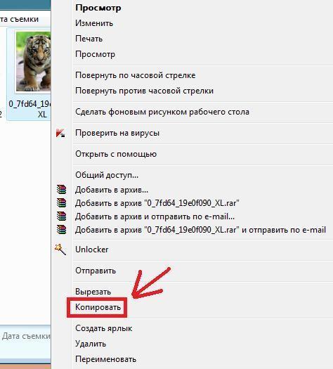 уверяют, как с телефона перекинуть фото на флешку летнюю