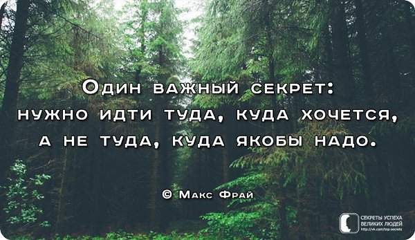 Не туда где темно. Нужно идти туда куда хочется. туда куда надо. куда хочу туда иду. цитата я иду туда.