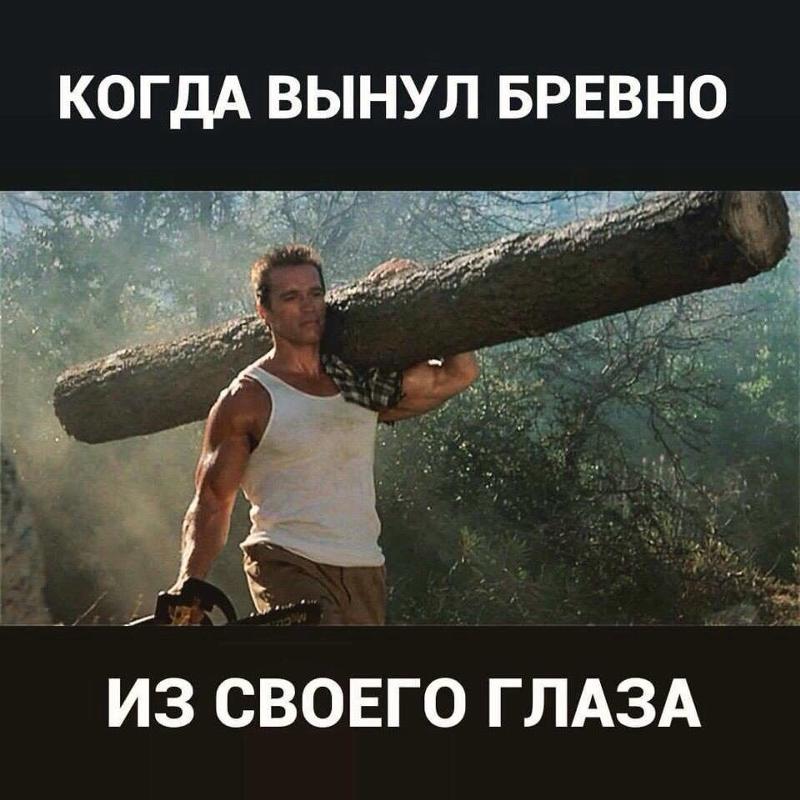Открытка бревно в глазу