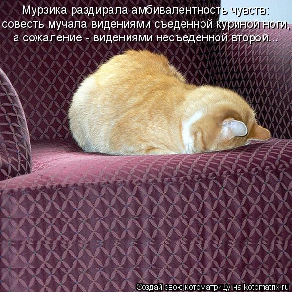 He sleeps like. He sleeps like. He sleeps like. He sleeps like. He sleeps like.