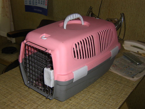 Переноска триол fs-01. Кошачья переноска пластик панорамная. Клетки переноски для кошек. Переноска для кошек пластиковая. Переноска mps skudo 1 с металлической дверцей с замком.