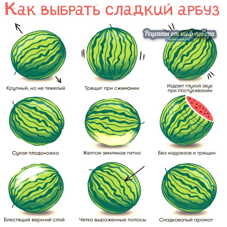 Выбираем арбуз правильно фото