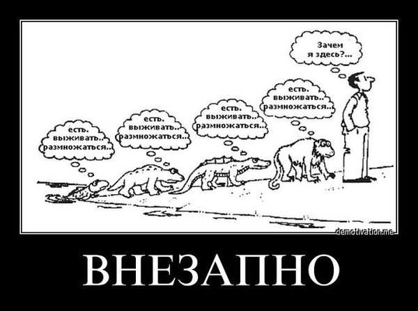 кто создал фотографию онлайн кто создал фотографию