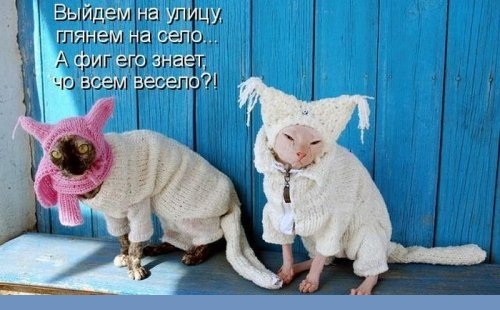 Собираюсь выйти на улицу