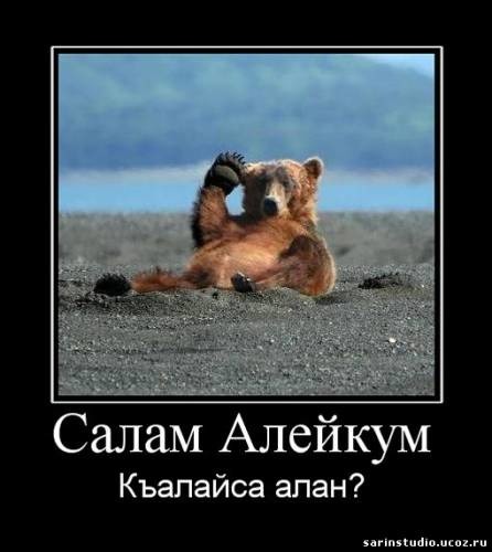 картинка салам как сам также можно оформить