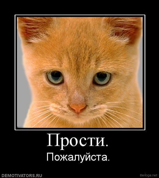 Картинки просящего кота