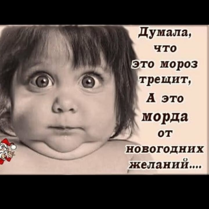 занавеси картинка думала мороз трещит а это морда пассаты