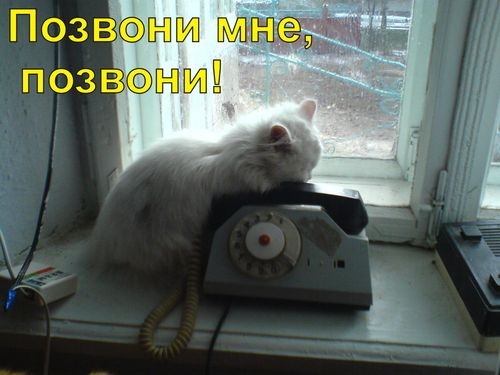Не звони смешные картинки, февраля