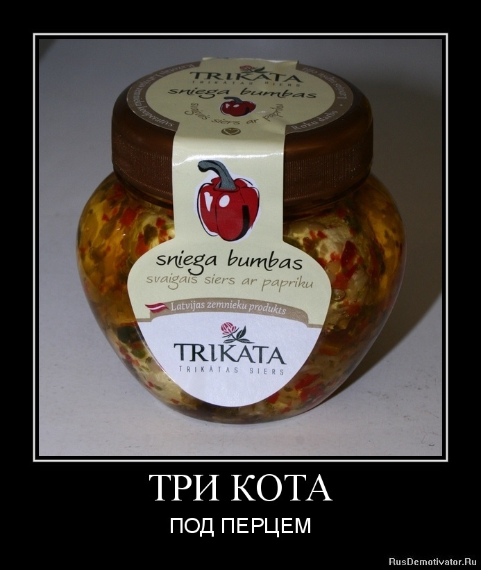 где живут продукты. старые перечницы солонки. банки для специй. набор для соли и перца wellberg90106 wb. загадка про сахарницу для детей.