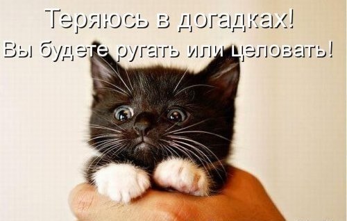 поцелуй воздушный в картинках