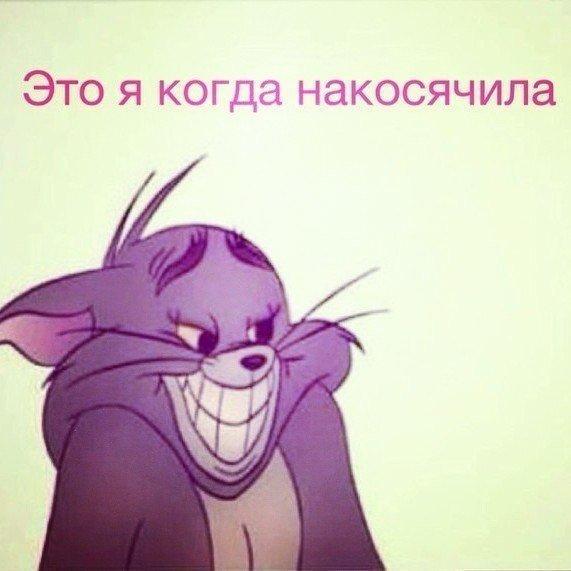 Прикольные картинки накосячила