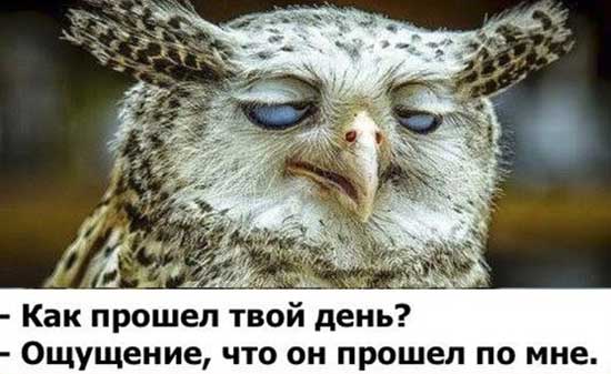 Открытка об усталость, маша