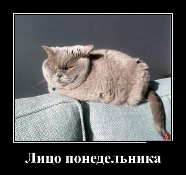 Ответы Mail.ru: Здравствуйте! Вопрос на тему Понедельник, всеми не любимый день 