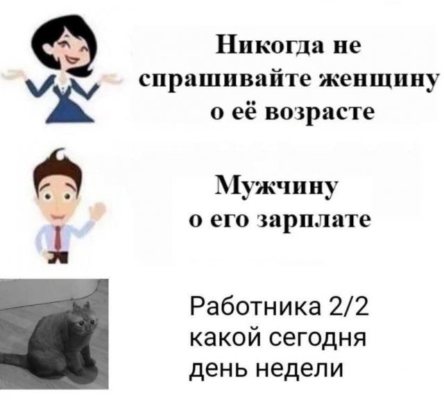 Какой день недели мем
