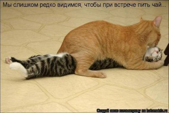 Пойду что ли чай попью Пойду что ли чай попью
