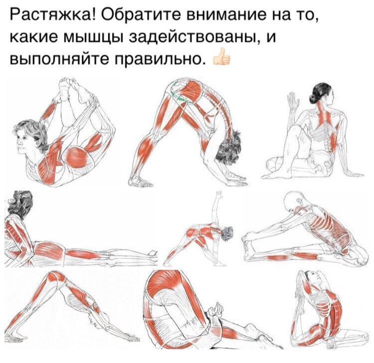 Открыток, растяжка в картинках для начинающих