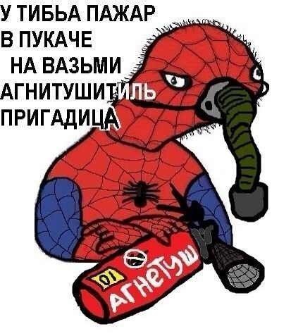 58853751_2447676c32f5e7e5165cdd19b027fd7b_800.jpg