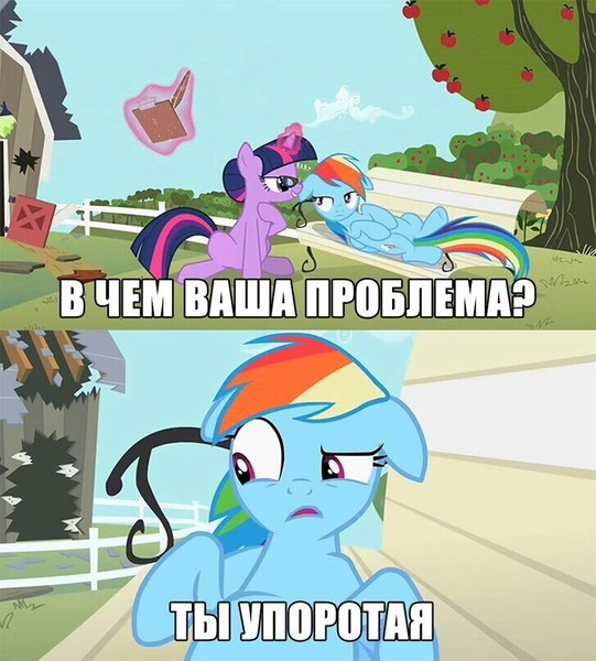 Мой маленький пони мемы картинки