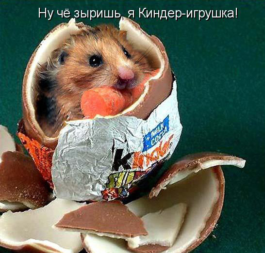 Картинки прикольные киндер сюрприз