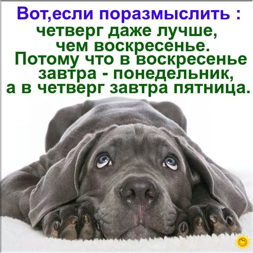 можно открытка потому что пятница или такого вида