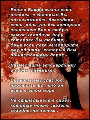 https://otvet.imgsmail.ru/download/5ac22ac6b2c5e918e296521d29a5ed77_i-227.jpg