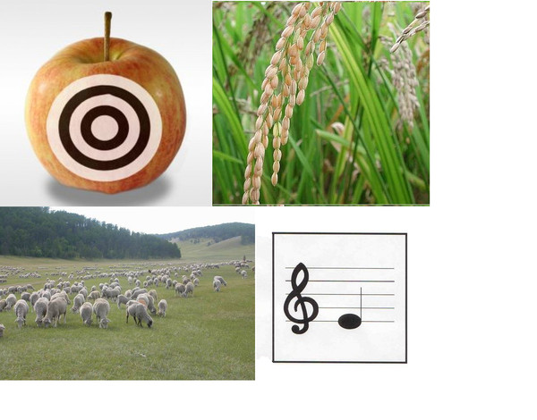 скрипка. найдите слова. задания по музыкальным инструментам.