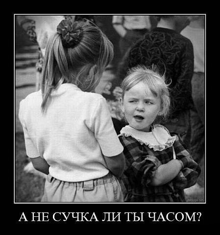 О сучки сучки а сучки сучки