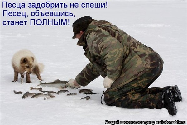 5db341be11d18ec9ae87d400a6bd4b20_i-3635.