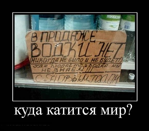 этом мир катится картинка банке анне