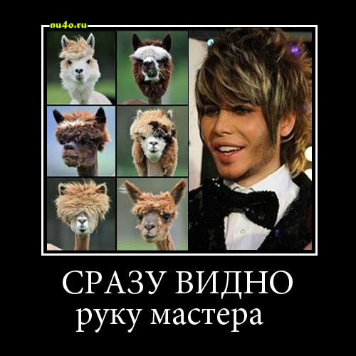 квадрат в руке мастера. хиромантия коллаж. узнаете руку мастера. карикатура мебельщик. узнаете руку мастера.