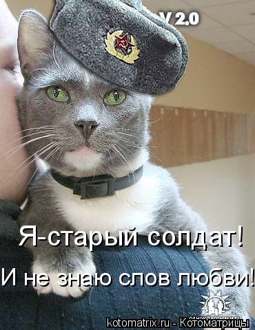 Алене Поздравления С днем рождения близким Calamo - ОЦЕНОЧНЫЙ ЛИСТ ЧЛЕНА ЖЮРИ КОНКУРСА ЧТЕЦОВ