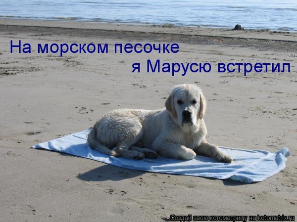 ВСТРЕТИЛ Я МАРУСЮ НА МОРСКОМ ПЕСОЧКЕ СКАЧАТЬ БЕСПЛАТНО ВСТРЕТИЛ Я МАРУСЮ НА МОРСКОМ ПЕСОЧКЕ СКАЧАТЬ БЕСПЛАТНО